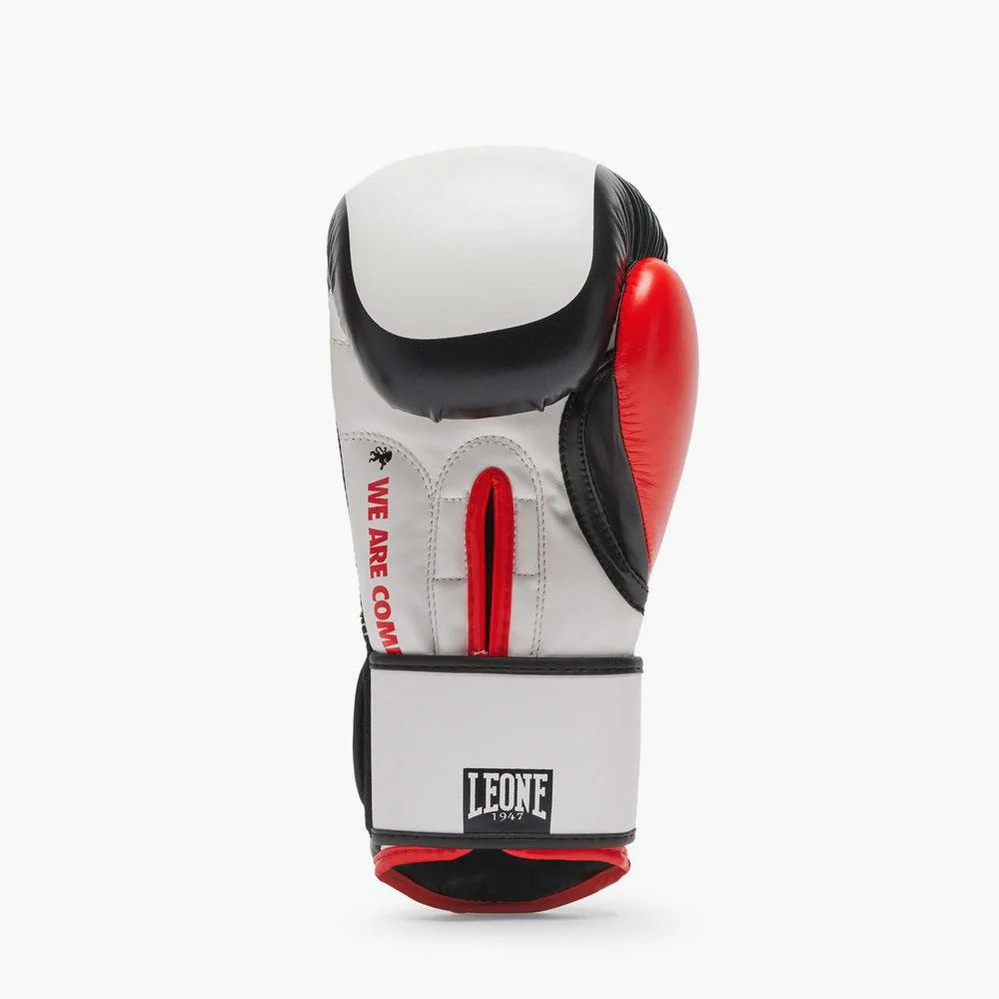 Miniatura 22